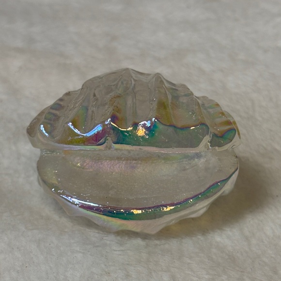 Stunning Genuine Aura Quartz Gemstone Crystal Oyster Shell